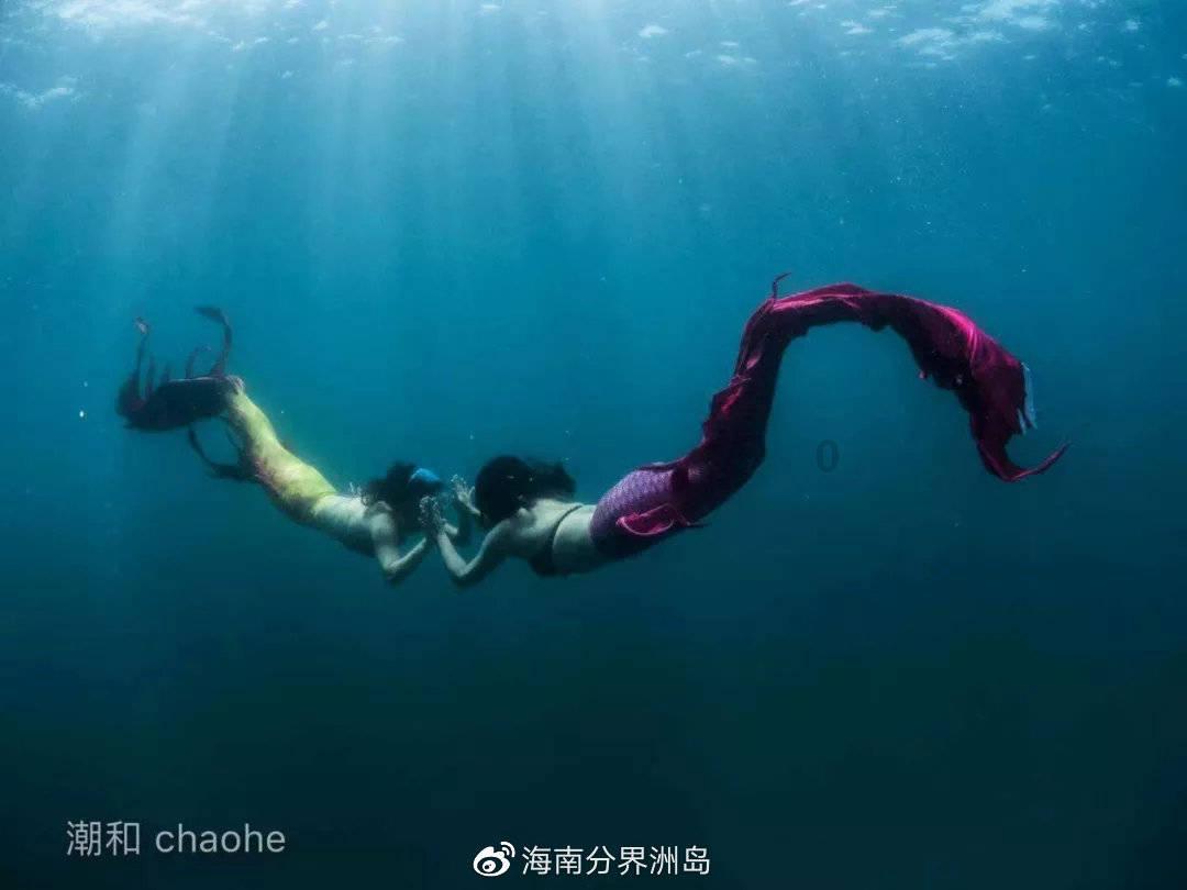 尺寸最大的华为P系列旗舰！P70屏幕曝光